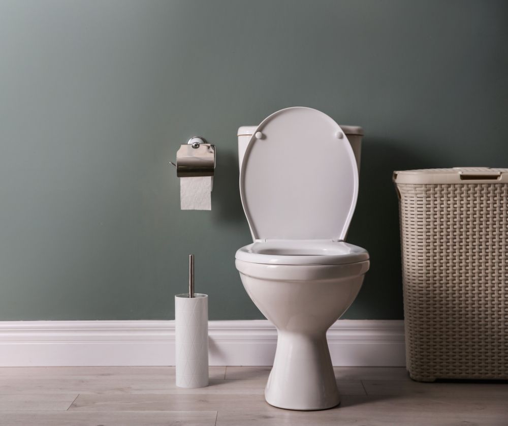 abattant-wc-jacob-delafon-odeon-up.jpg