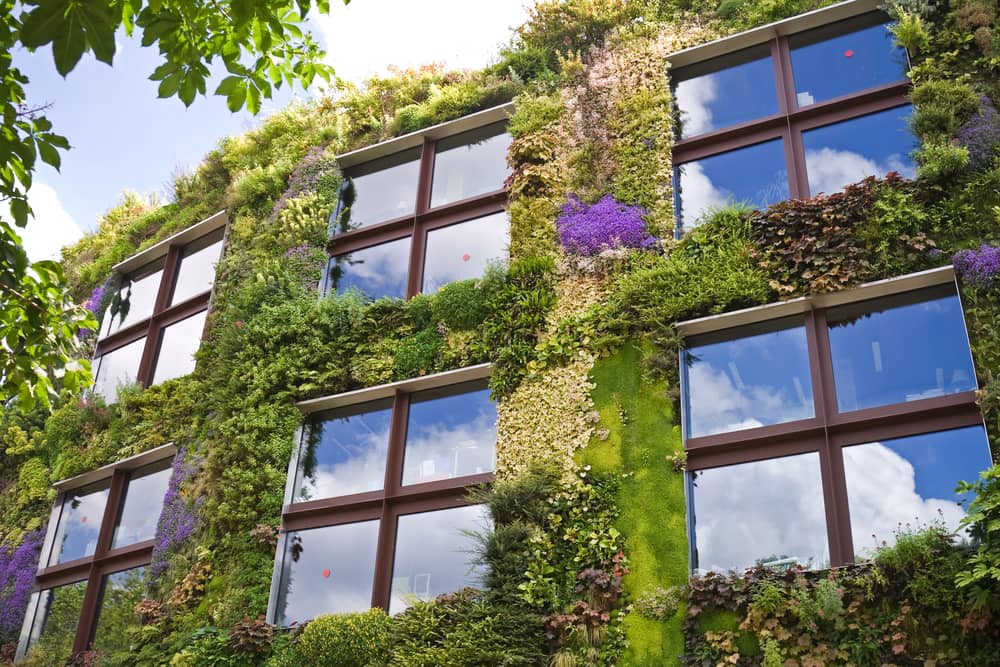 architecture-ecologique-facade