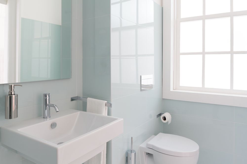 dubourgel-toilette