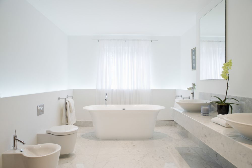 roca-toilette