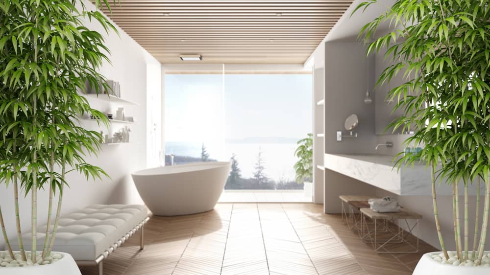salle-de-bain-ecologique-balneo.jpg