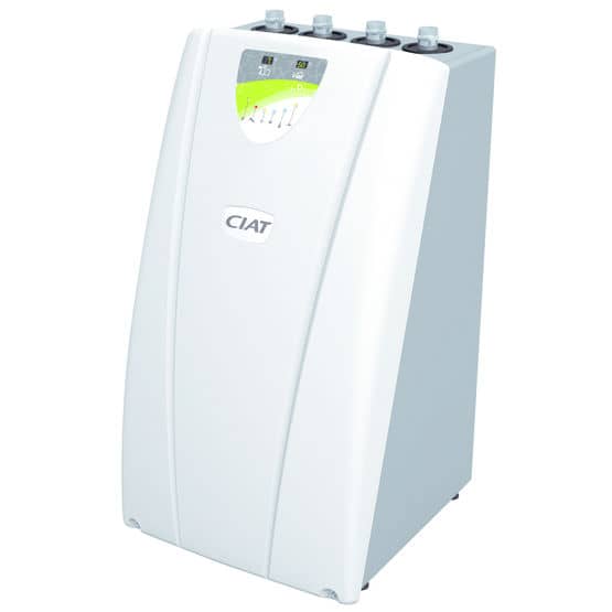 ciat-aurea2