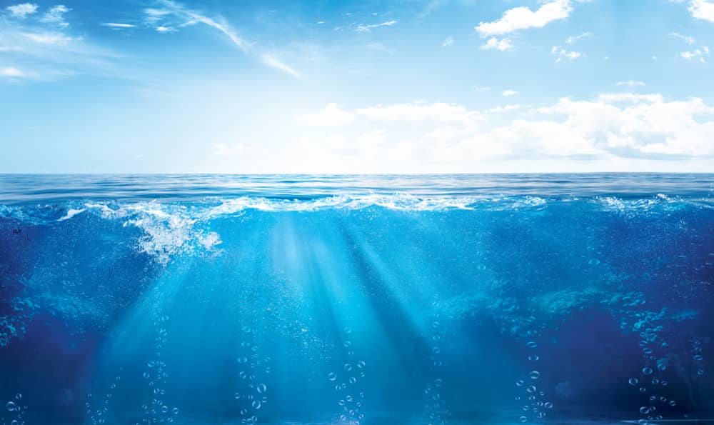 thalassothermie.jpg