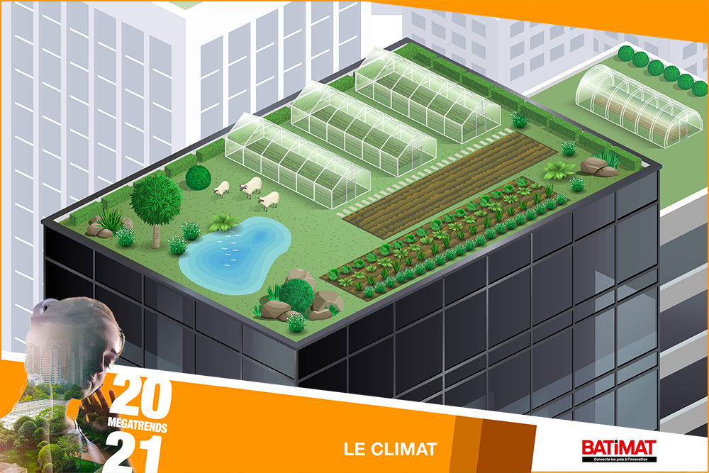 toiture-vegetalisee.png