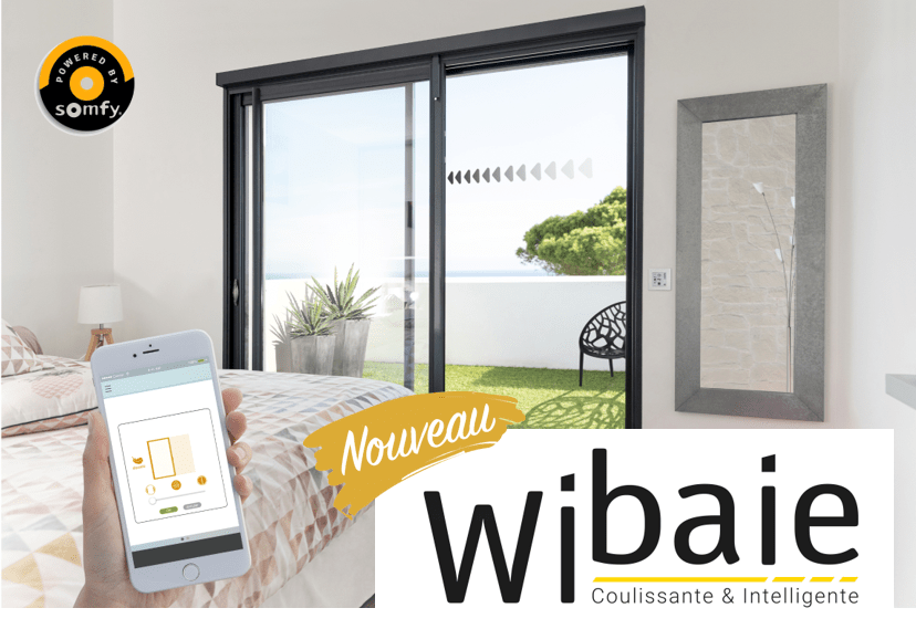 wibaie-caib.png