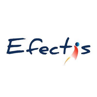 EFECTIS GROUP